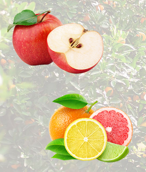 Crop Health T3 biosci